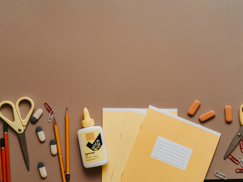 Bachelor Of Fine Arts (BFA)