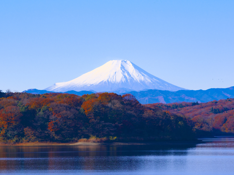 Jammu and Kashmir: Srinagar, Jammu